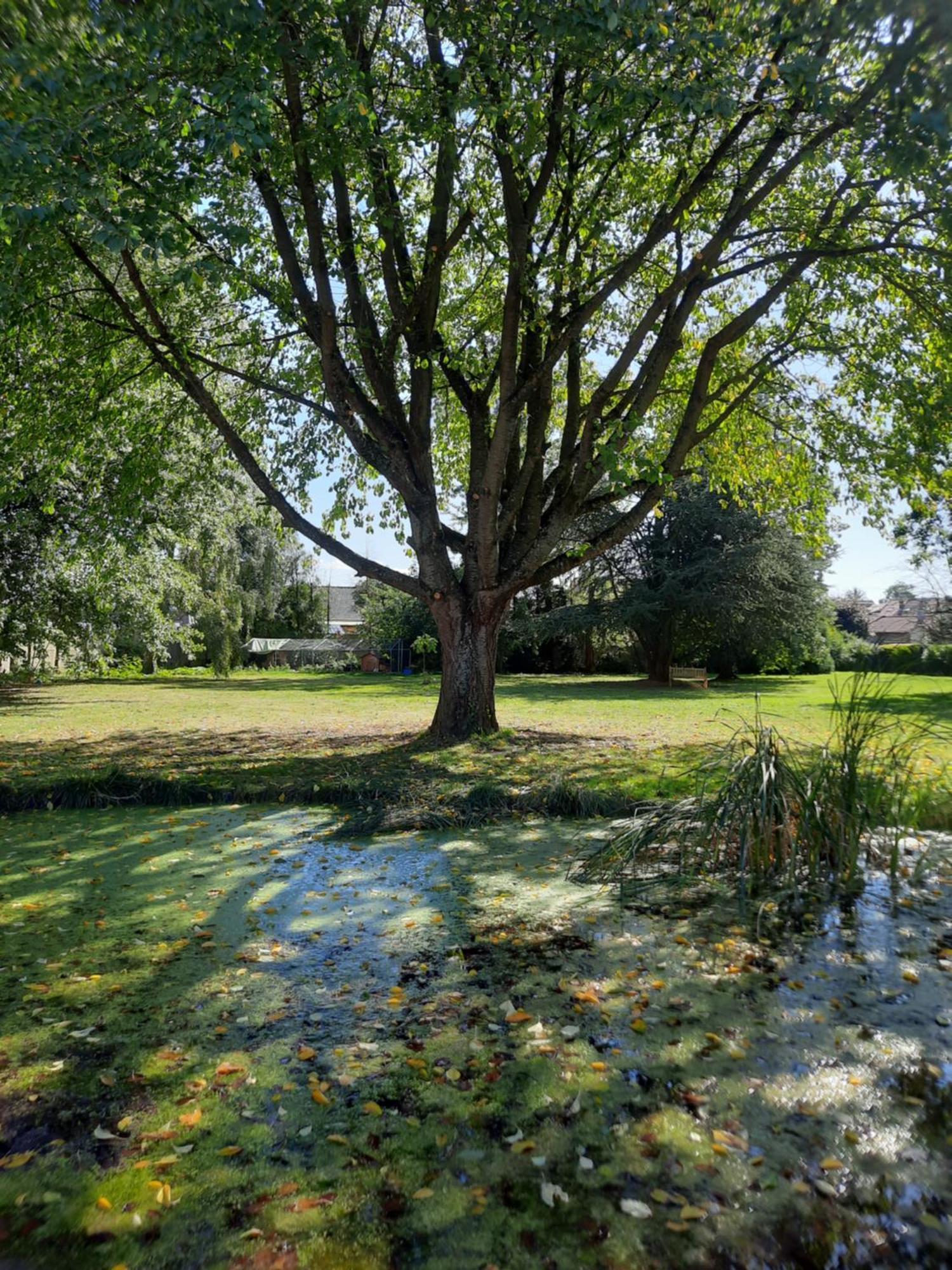 La Petite Maison Hébergement de vacances *